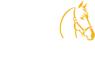 Jezdecké potřeby Ráj ohlávek Jezdecké potřeby Ráj ohlávek